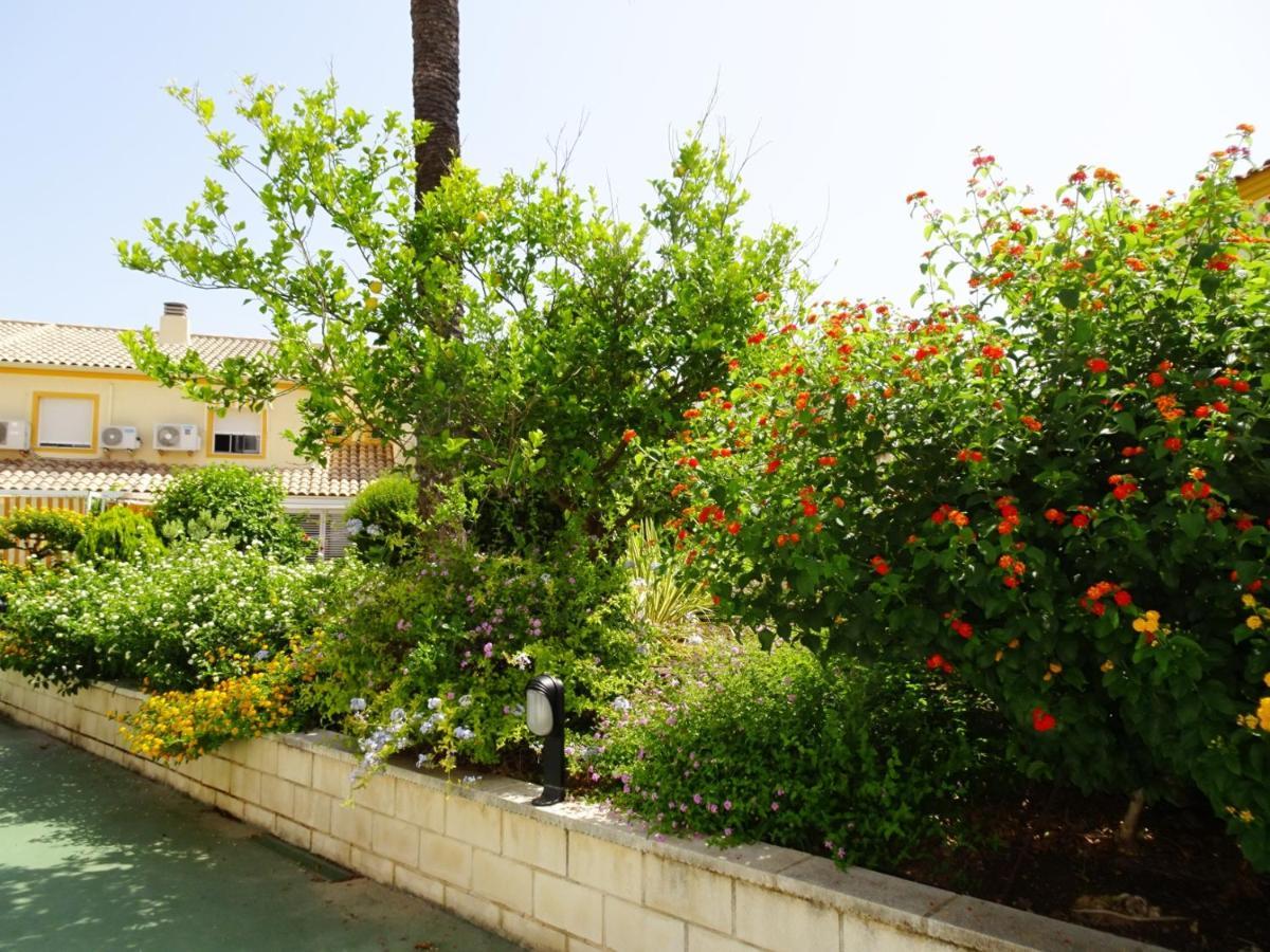 Apartamento La Playa Oliva - Casa 20 Alquiler Solo Familias Exterior foto